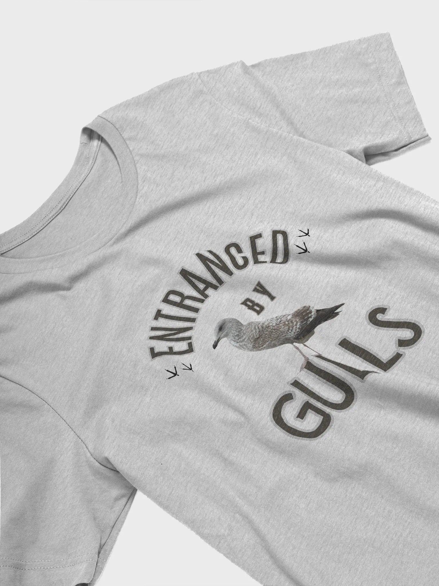 Entranced by Gulls T-shirt product image (26)