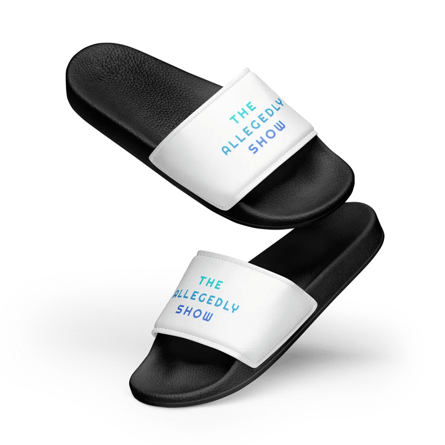 The Allegedly Show Slides product image (11)