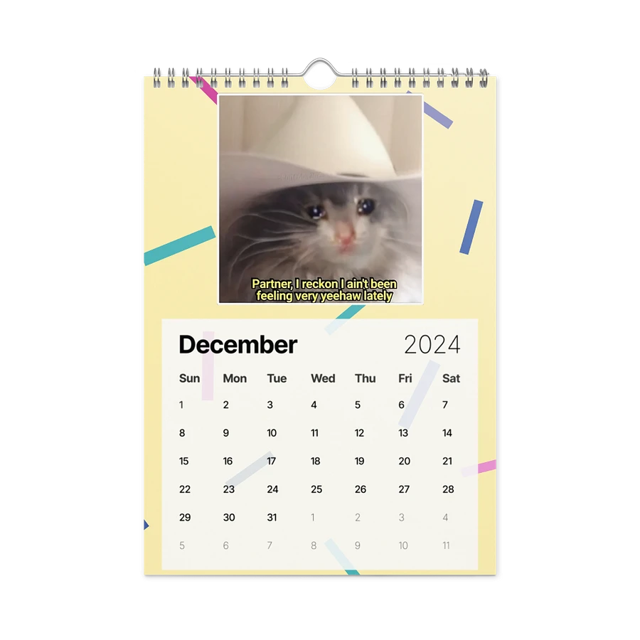 Wall Calendar (2024): Meme Cats product image (6)