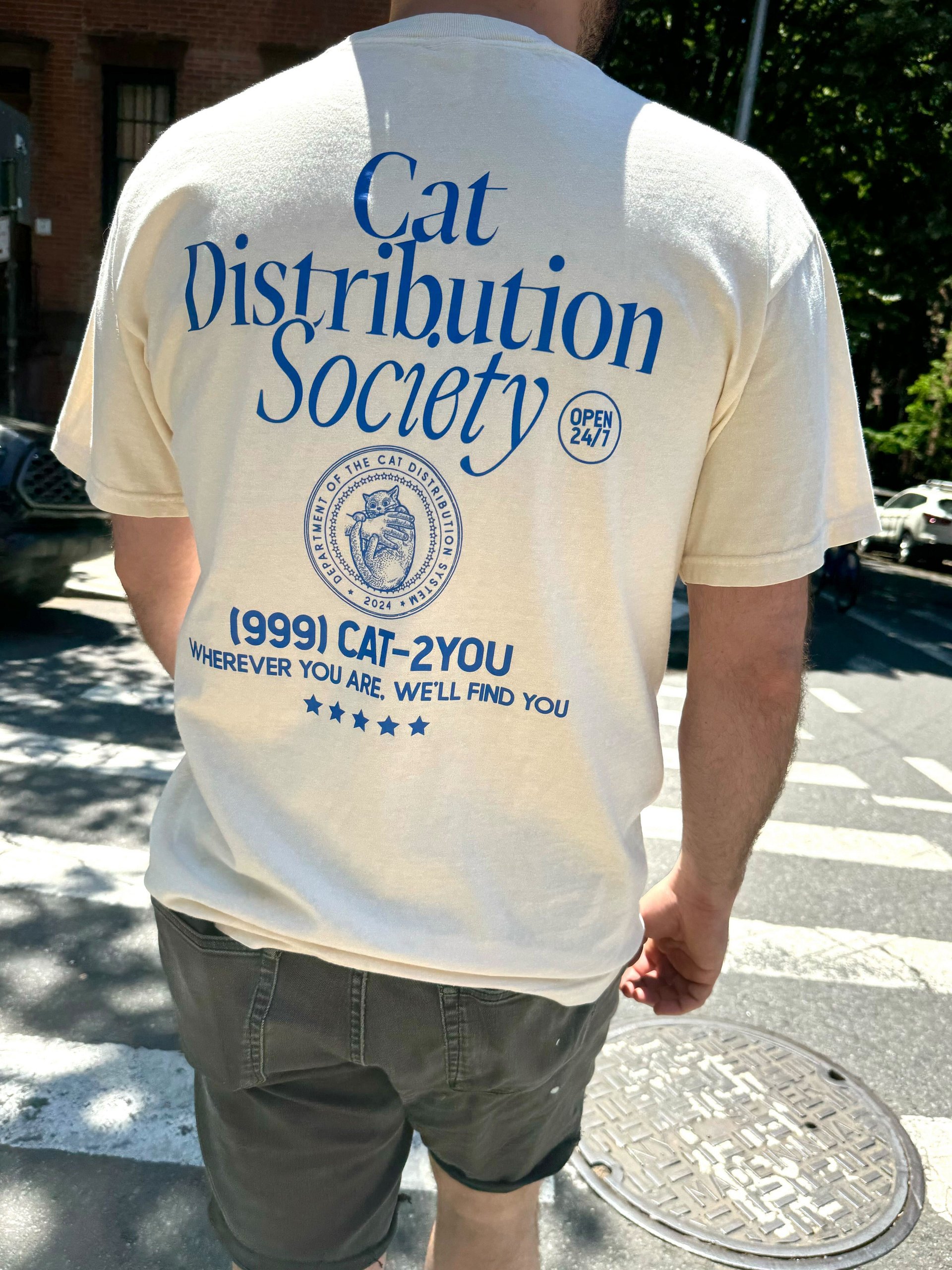 Cat distribution society oversized unisex tee (blue text) product image (1)