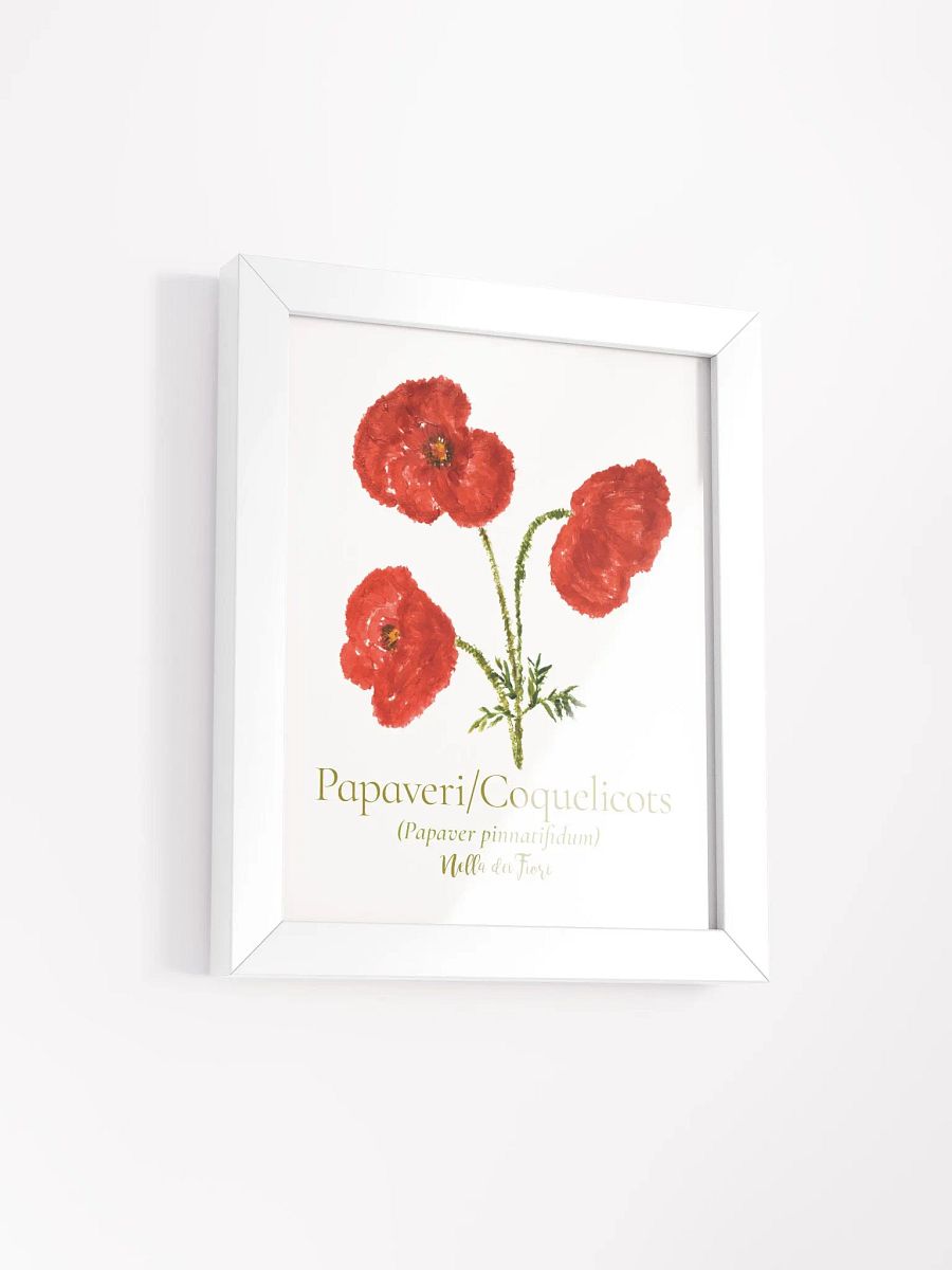 Papaveri Botanicus Frame product image (6)