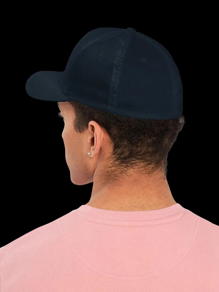 Flex Fit ReAnimateHer Hat product image (2)