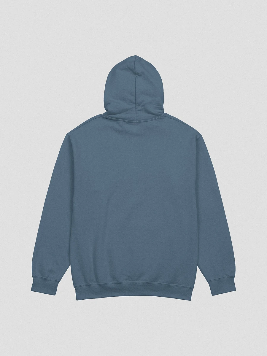 Fancy College Hoodie product image (3)