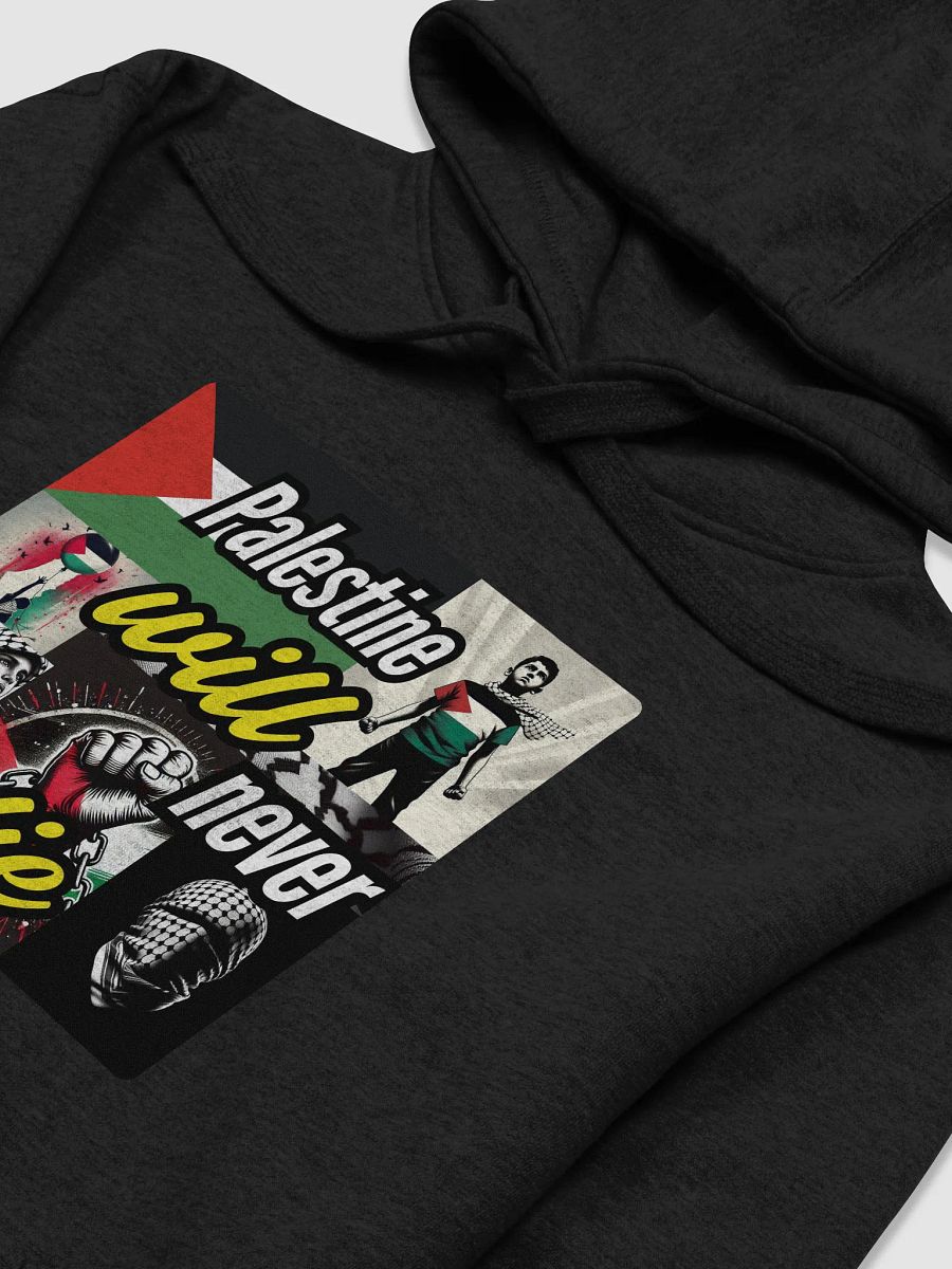 Cozy Comfort Unisex Hoodie | Palestine will never die product image (24)