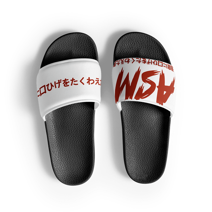 The ASM Slides product image (2)