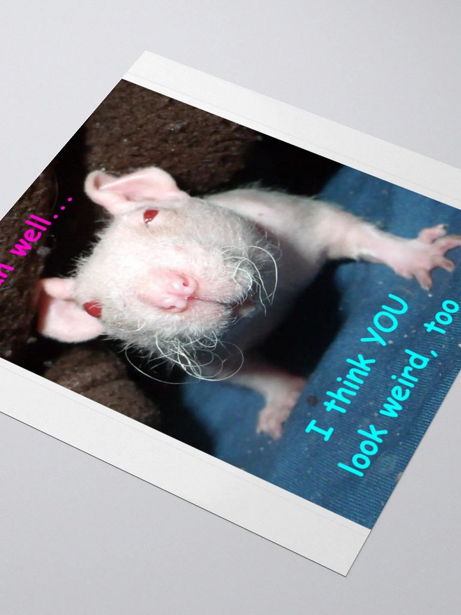 Hairless rat sticker product image (7)