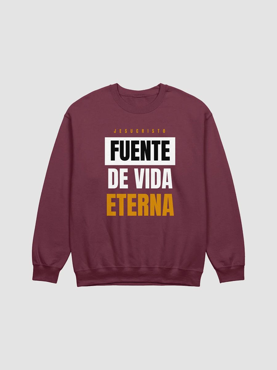Sudadera Unisex Cuello Redondo | Fuente de Vida product image (5)