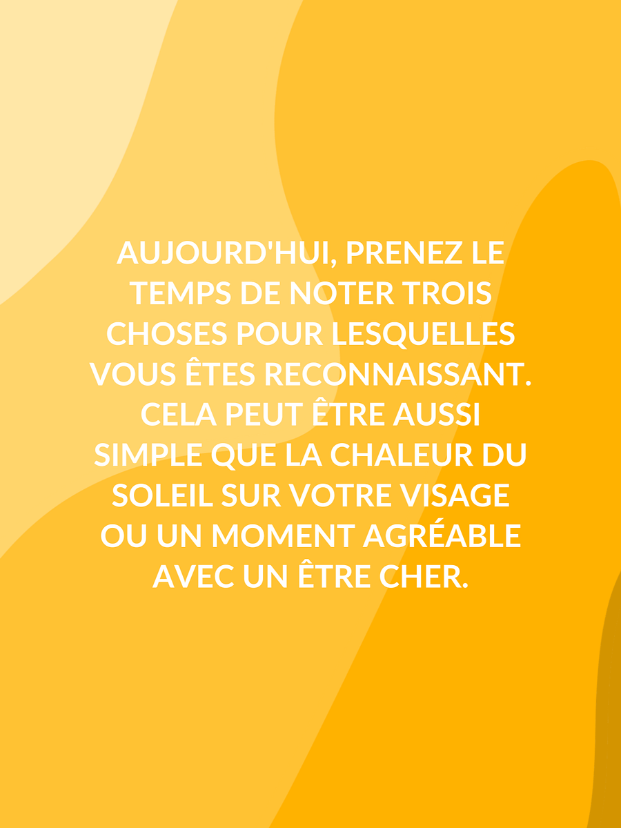 Vivre avec Gratitude : Un Journal Inspirant sur 30 Jours product image (4)