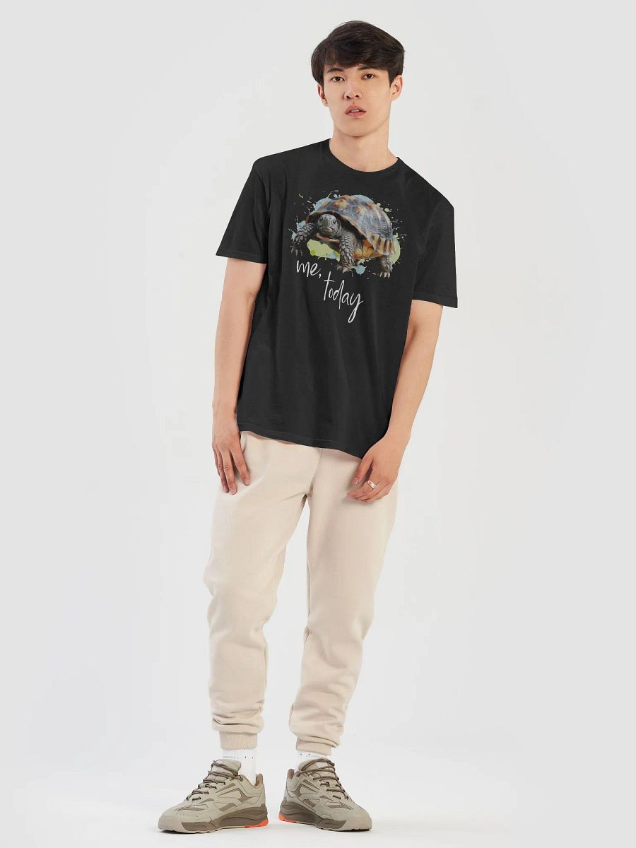 Me, today - Turtle product image (5)