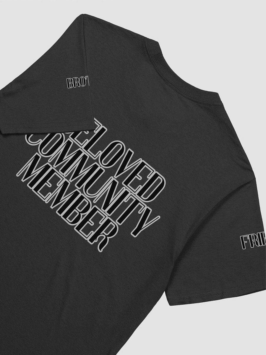 Astro Memorial T product image (4)
