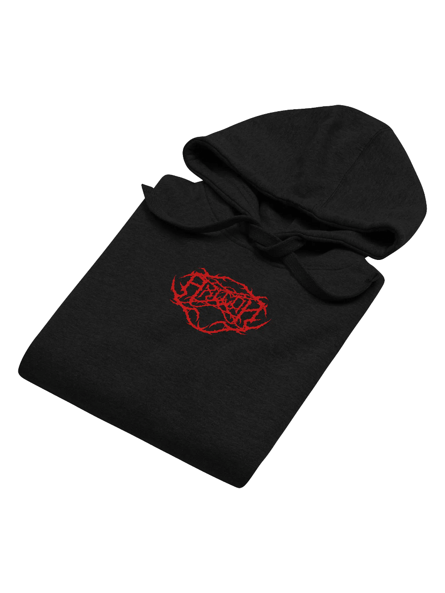 AXILON LOGO HOODIE product image (12)