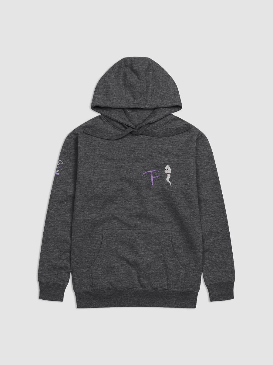 RTW Hoodie product image (2)