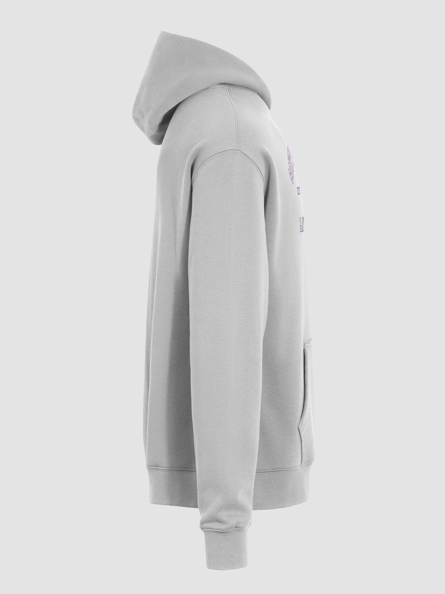 SWLAW Collegiate Seal- Hoodie product image (8)