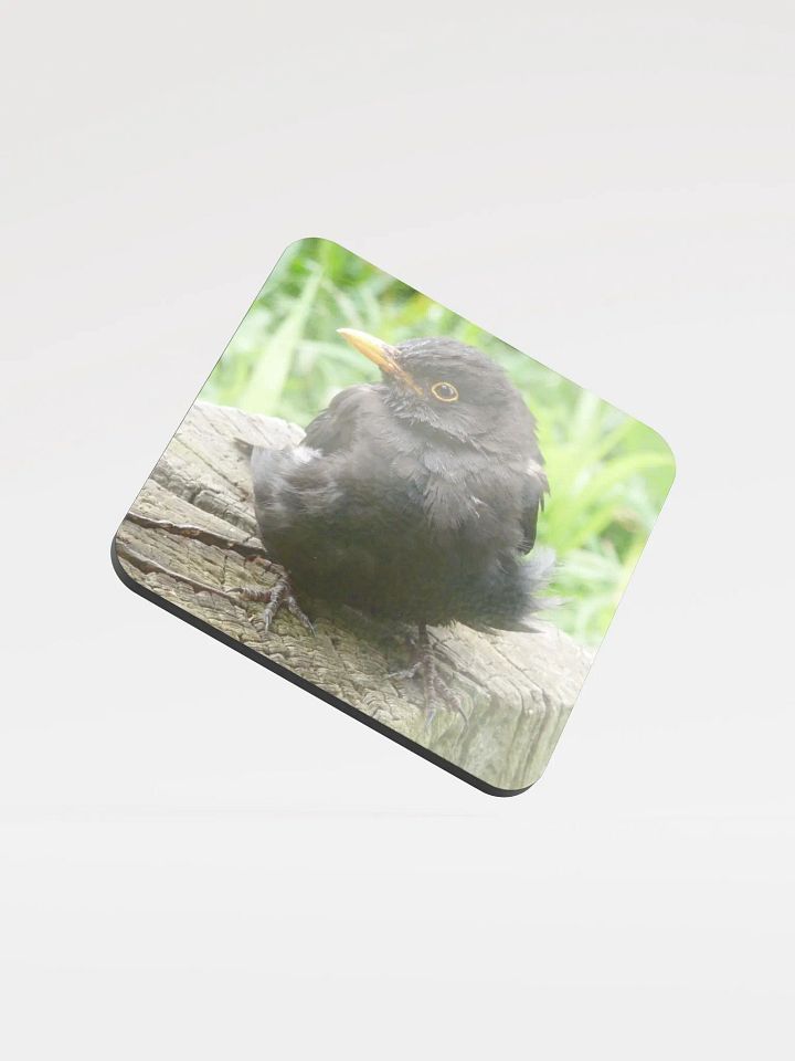 Glossed Cork Coaster - The common blackbird #2 product image (1)