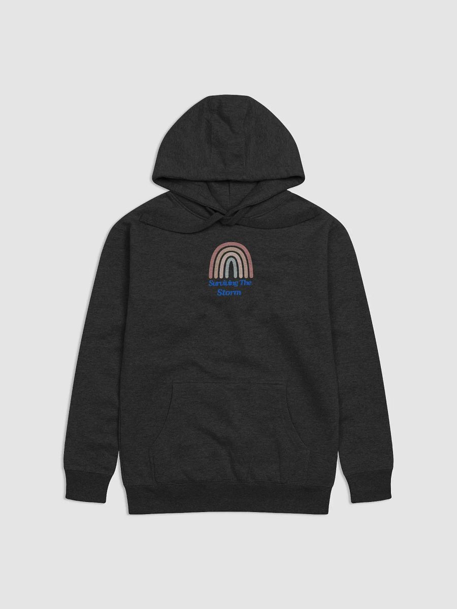 Rainbow Resilience Premium Hoodie product image (2)