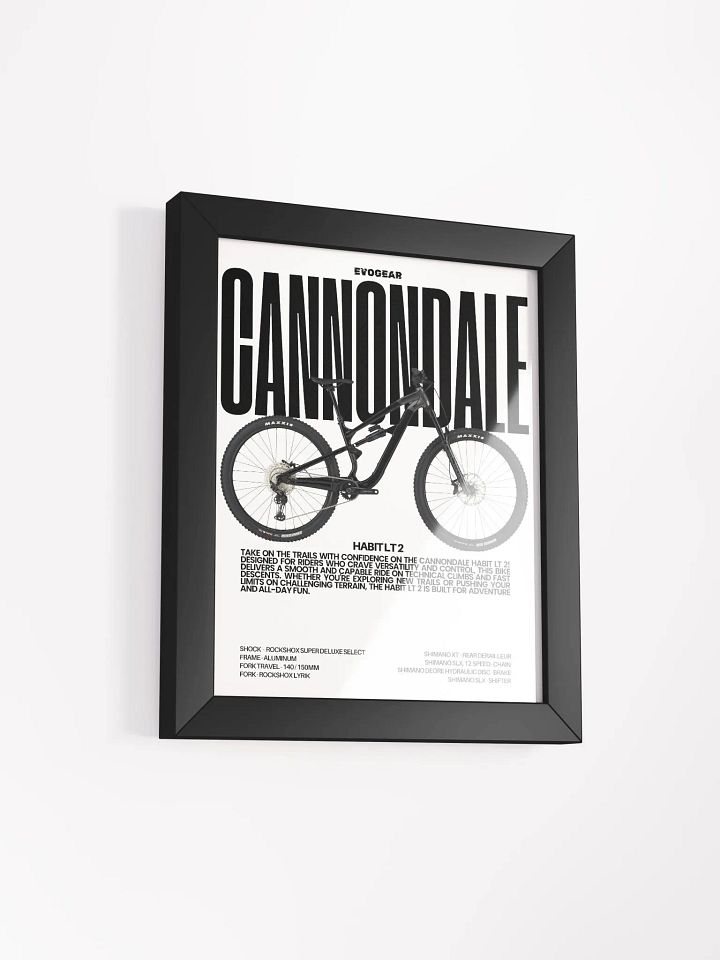 Cannondale Habit LT 2 Frame product image (6)
