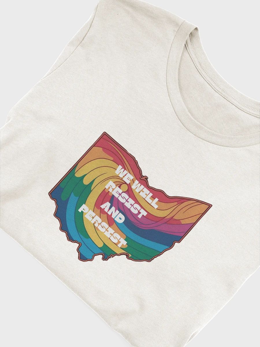 We Will Resist and Persist Tee product image (45)