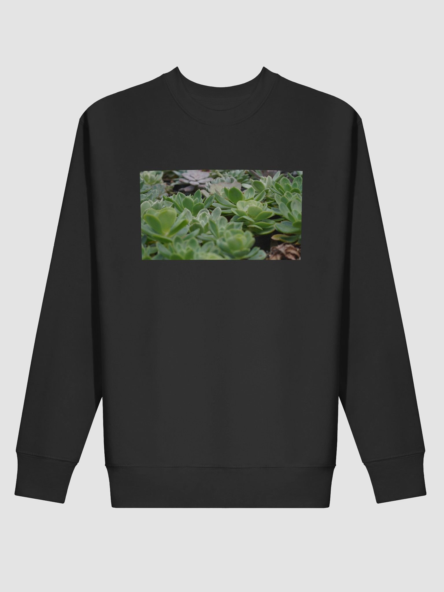 Verdant Oasis Cotton Sweatshirt product image (2)