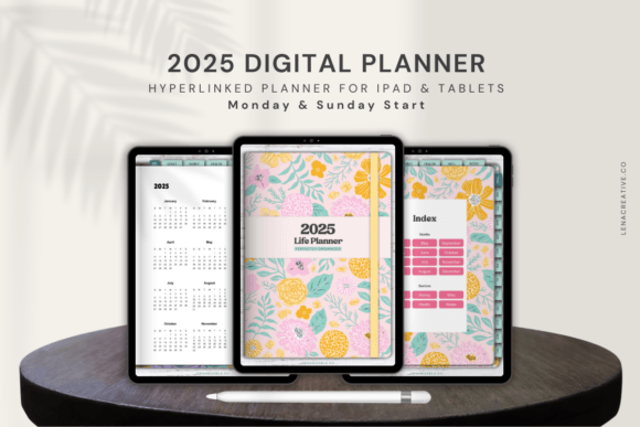 Digital Bundle: Healing After 50 - Take Back Your Life product image (3)