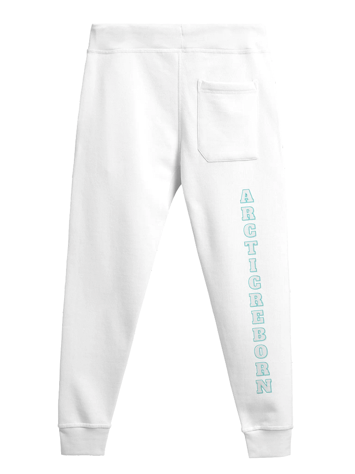 ARCTIC REBORN Fleece Joggers product image (5)