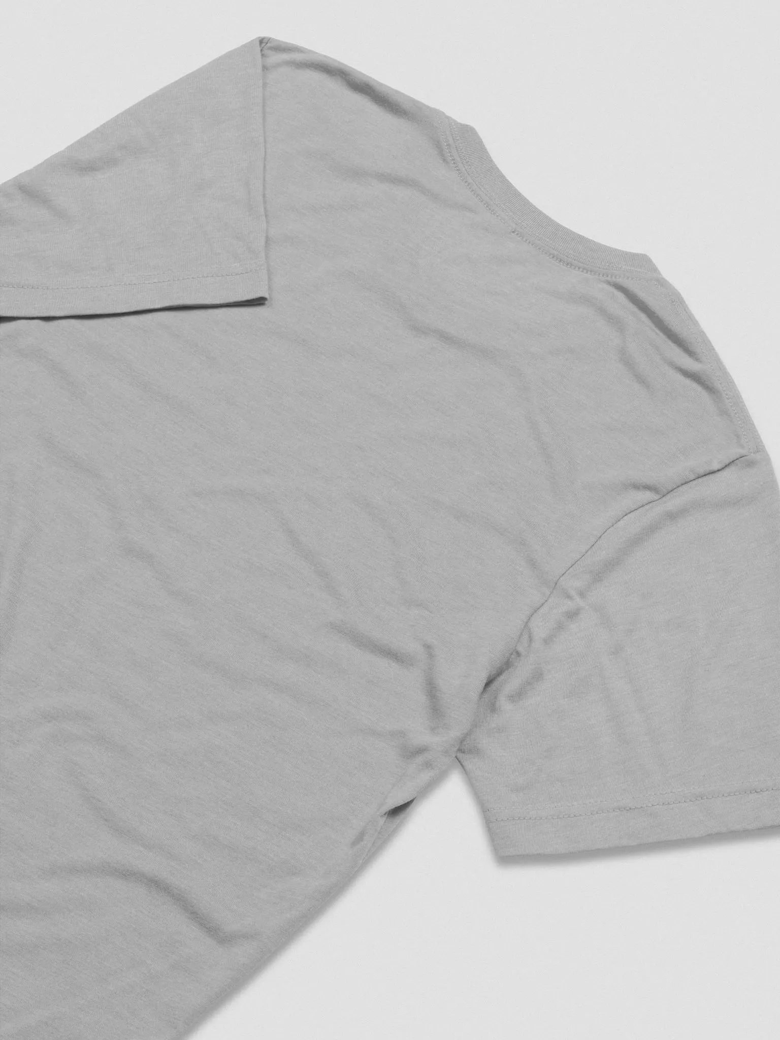 Pedantic T-Shirt (Red Box, Tri-Blend) product image (16)