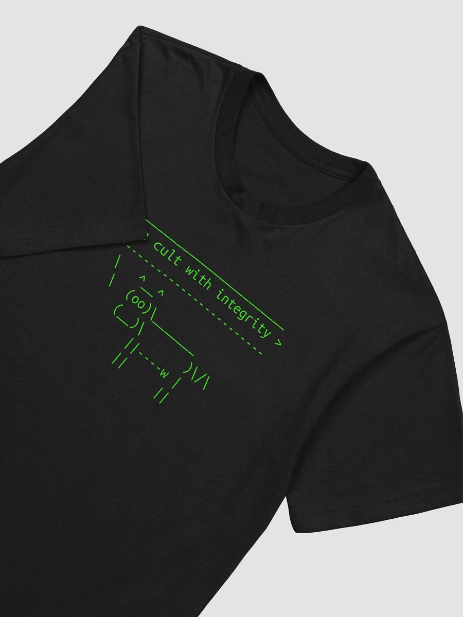Cult of ZFS - Cotton Ringspun Tee product image (2)