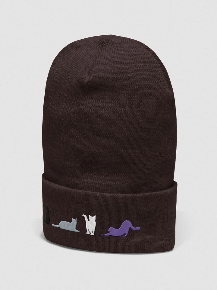 Asexual Pride Cats Beanie product image (8)