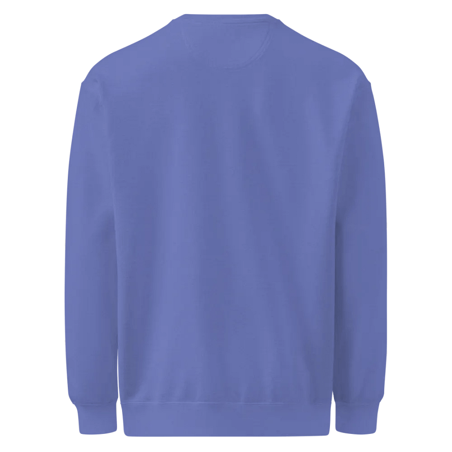 Zen Raccoon Meditative Sweatshirt product image (2)