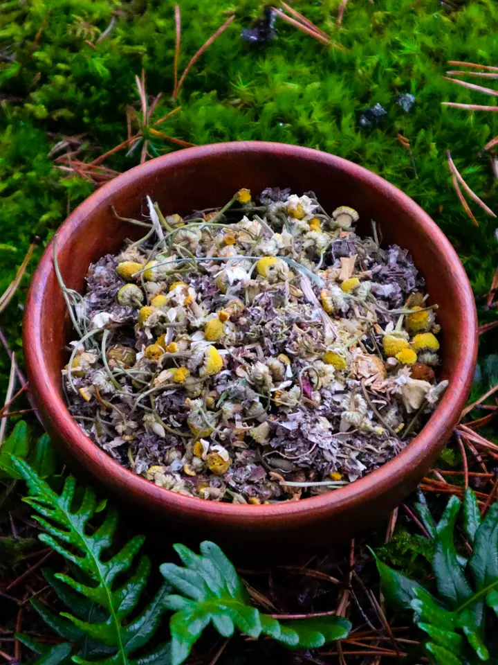 Spirit of the Forest Infusion (I) product image (1)