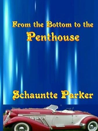 Books 1 & 2 - From the Bottom to the Penthouse product image (1)