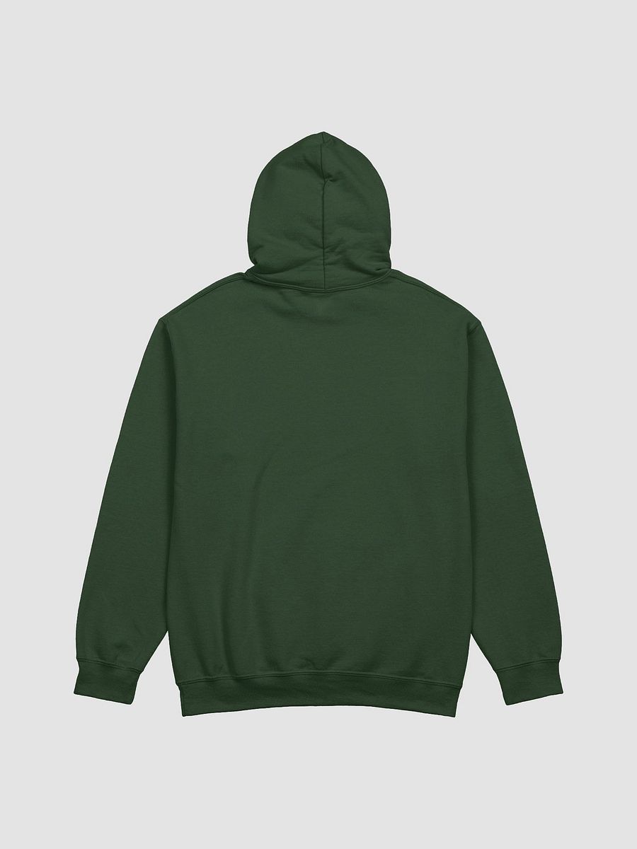 HABITUAL INSTIGATOR (lined design, #96B697) classic hoodie product image (3)