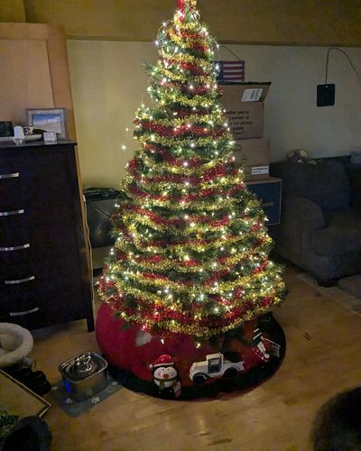 Christmas 🎄🎁 with the cats begins! 🎅 Come hang out with them on Twitch twitch.tv/hotelcatifornia
