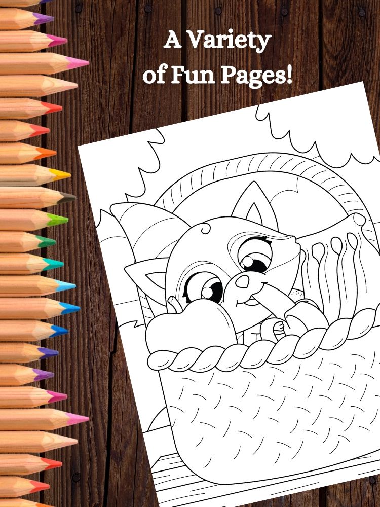 Raccoon Printable Coloring Pages for Kids product image (4)