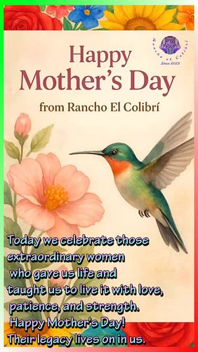 Ser madre es un regalo y una labor incansable. Hoy honramos su dedicación, su sacrificio y su amor infinito. ¡Feliz día a tod...