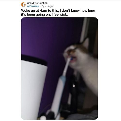 sharing is caring