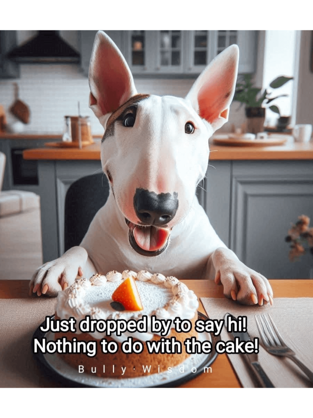 Bull Terrier- Calendar 2026 product image (8)