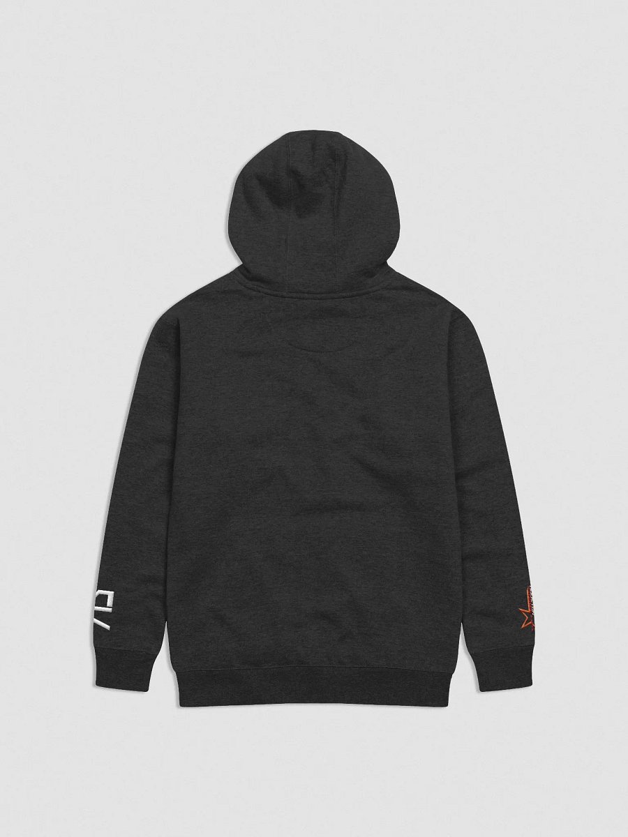 Houston Starwalkers 713 Day Hoodie | VGL product image (2)