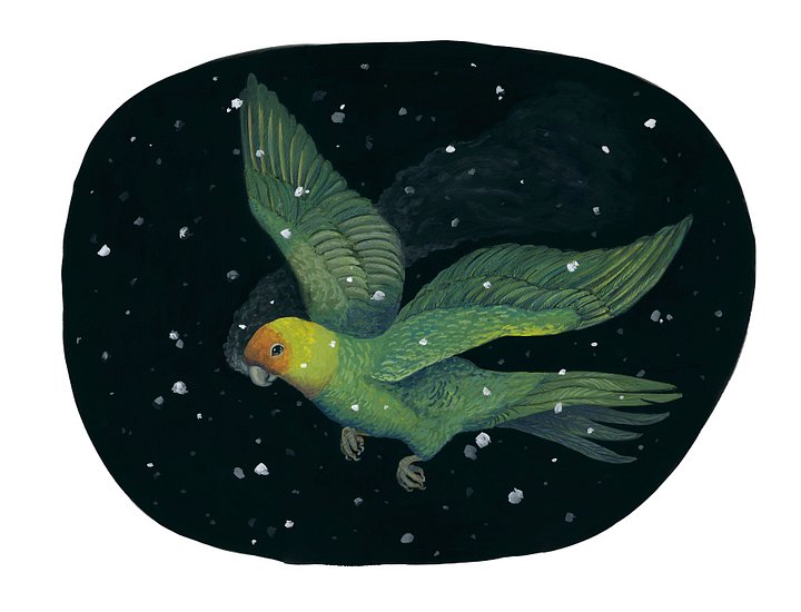 The Warmth of a Living Breath - Art Print product image (1)