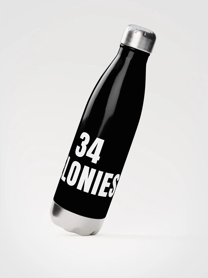Pris-34 FELONIES -Stainless Steel Water Bottle product image (2)