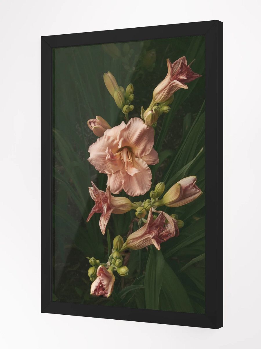 Cascade of Blush product image (4)