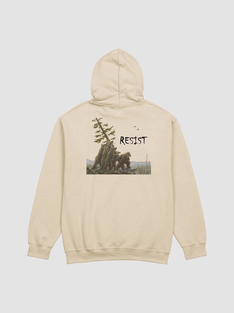 BEARS RESIST! Our Parks Pullover Hoodie Alt National Parks Gear product image (1)