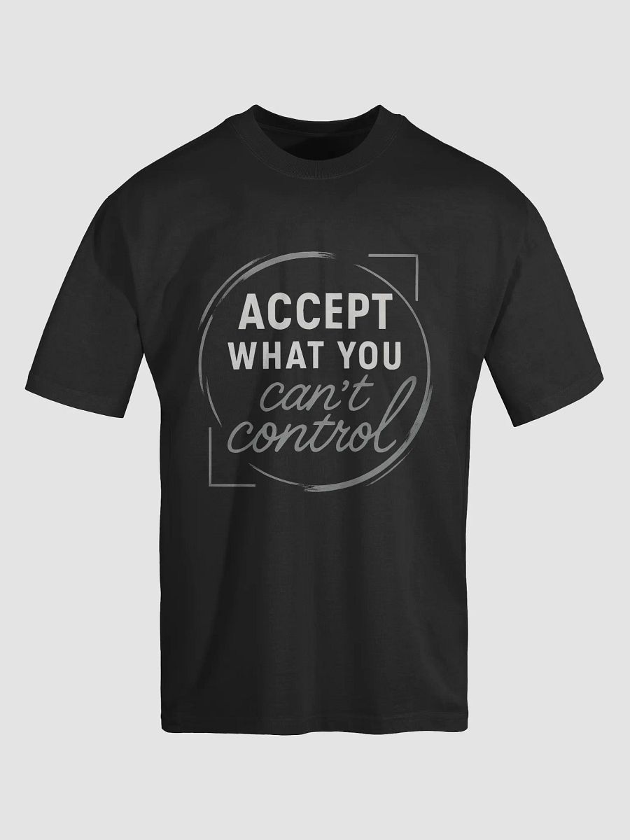 Accept What You Can’t Control — How Sandra Bullock’s Wisdom Can Transform Your Life and Empower Your Journey product image (5)