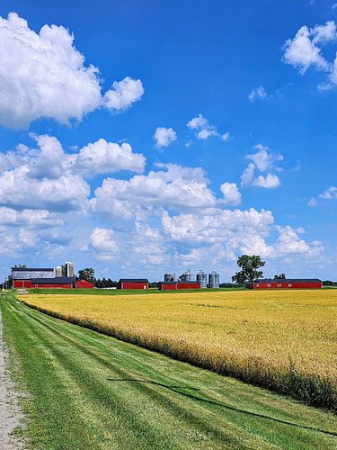 What does it look like where you live? Share some photos of your landscape—or describe it for us! We're hoping to travel the ...