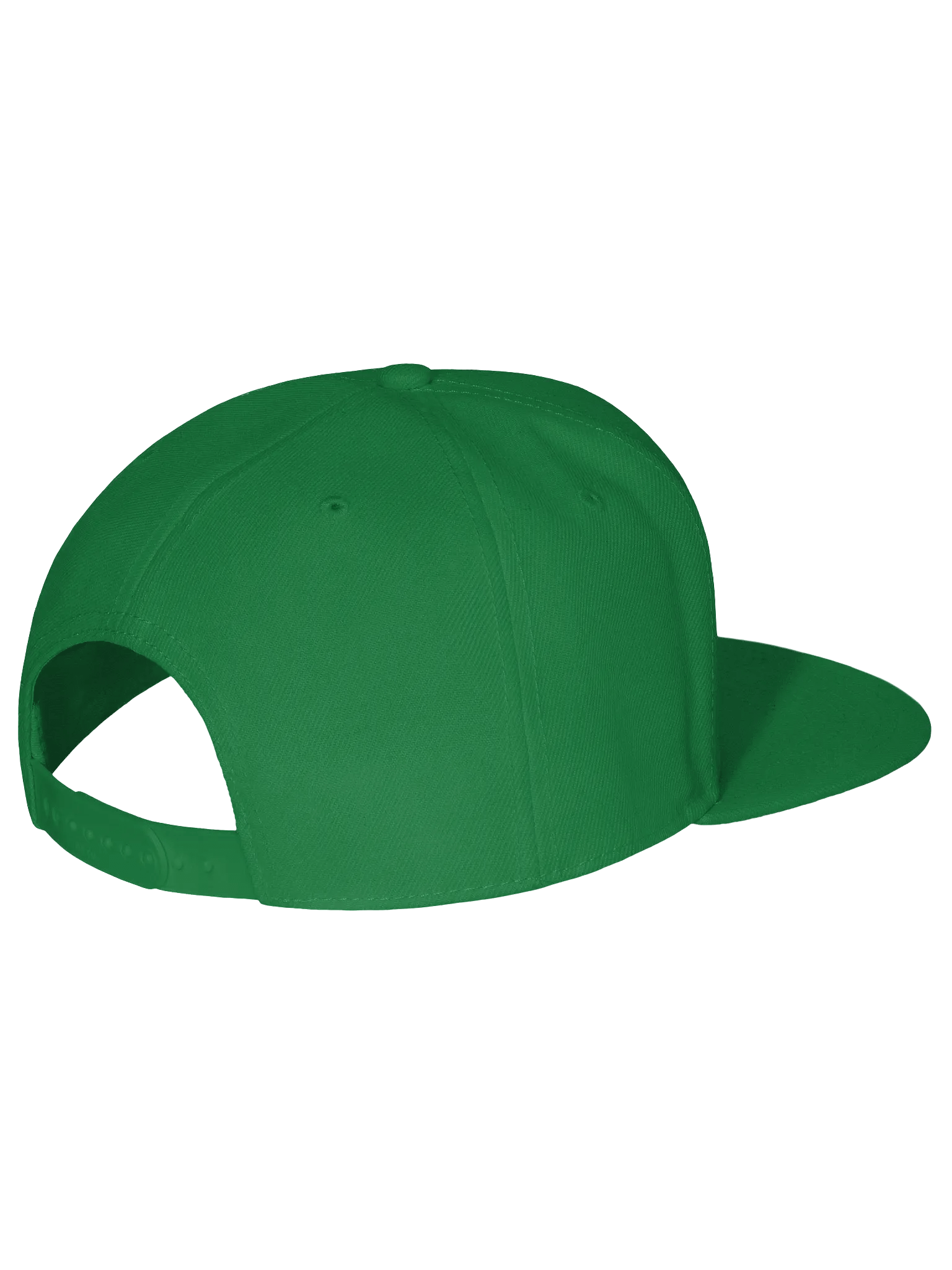 Presidential Advisory Snapback product image (39)