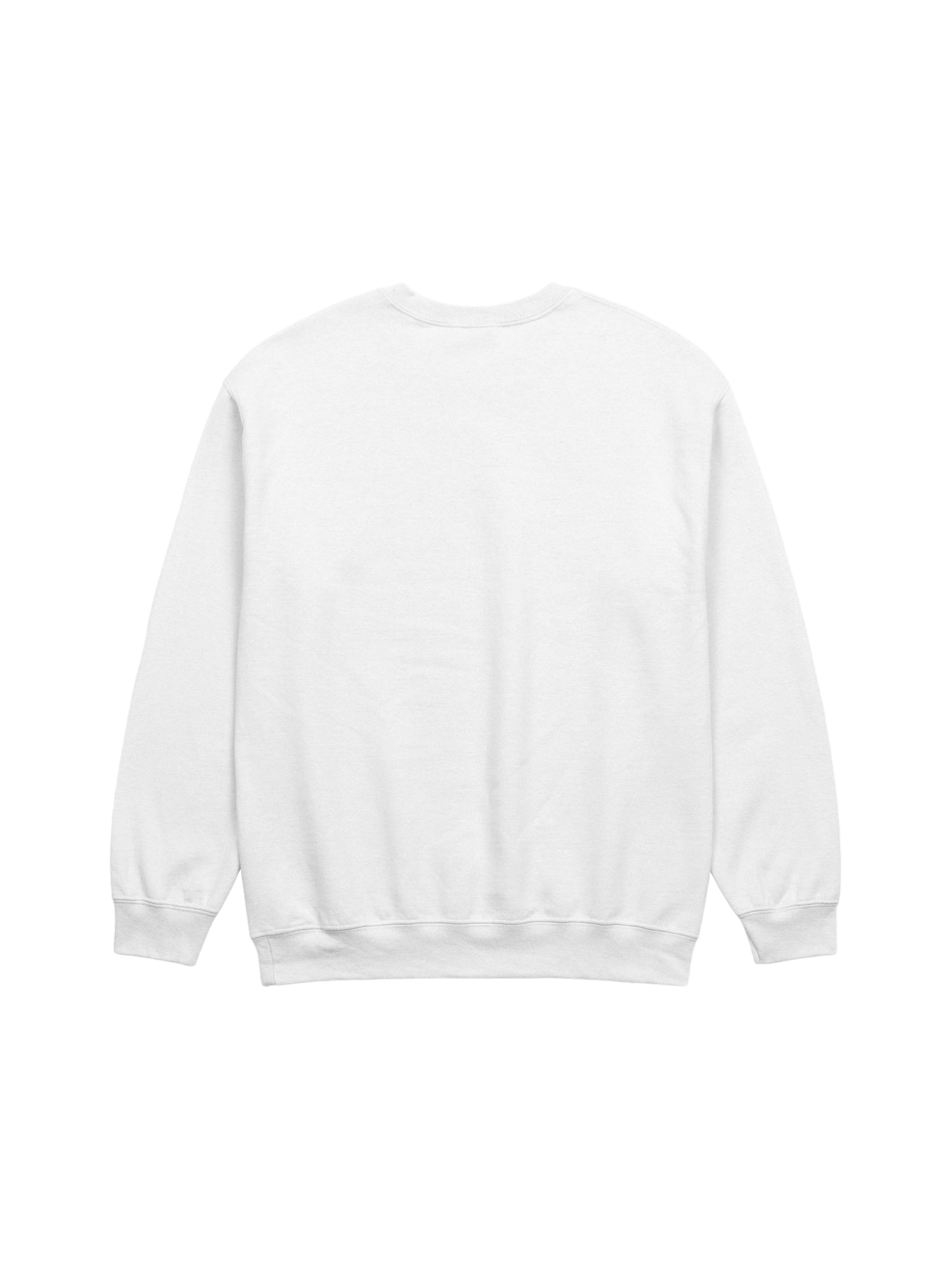 [spit_logo] v. wht x crew product image (3)