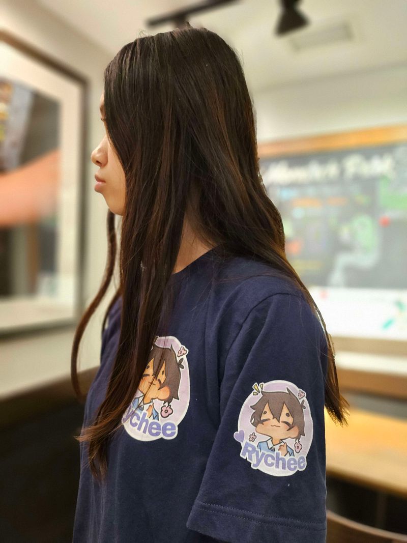 ✧ The Cheeshirt 2024