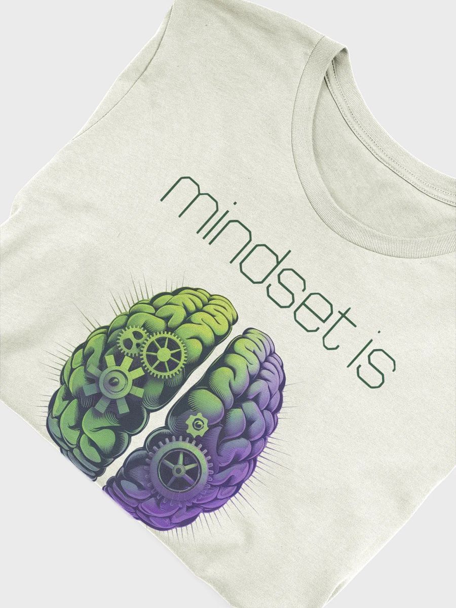 mindset is everything t-shirt product image (41)