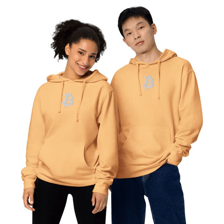 Embroidered ₿itcoin Orange-Peach Hoody product image (1)