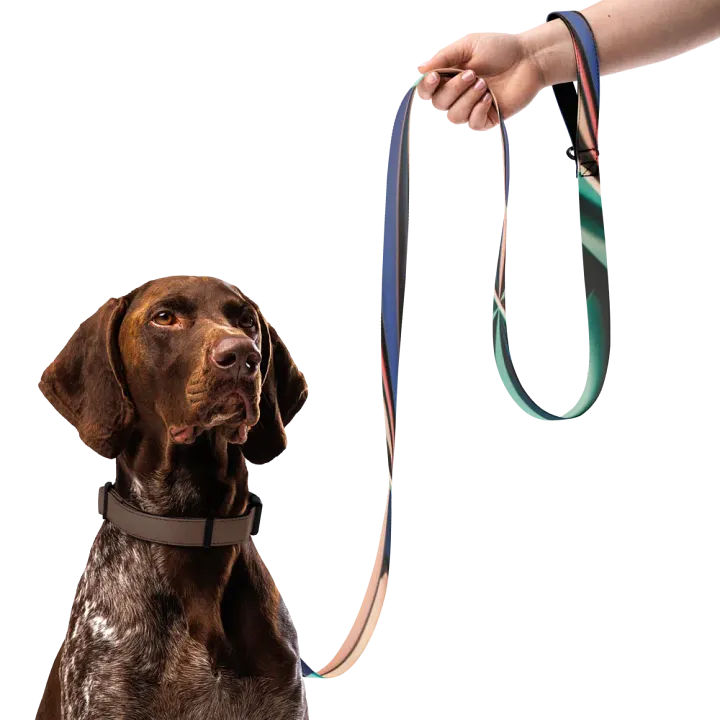 Vibrant Sublimation Pet Leash product image (1)