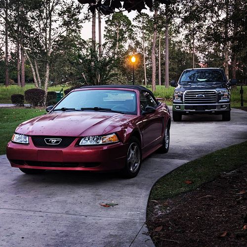 The stang lately
